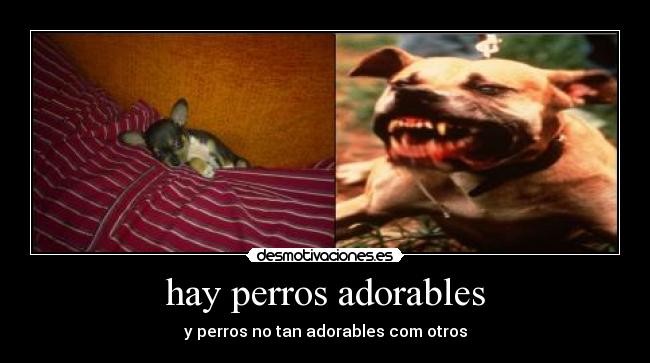 carteles chiaaaara desmotivaciones