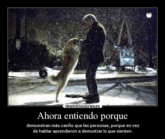 Ahora entiendo porque - demuestran más cariño que las personas, porque en vez
de hablar aprendieron a demostrar lo que sienten.