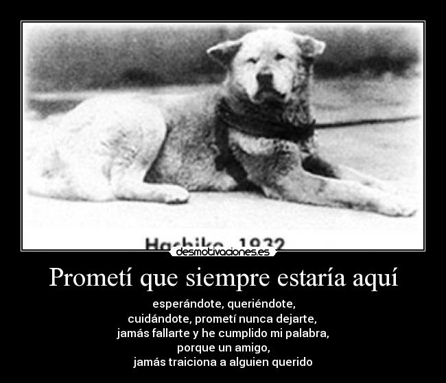 Prometí que siempre estaría aquí - esperándote, queriéndote,
cuidándote, prometí nunca dejarte, 
jamás fallarte y he cumplido mi palabra,
porque un amigo,
jamás traiciona a alguien querido