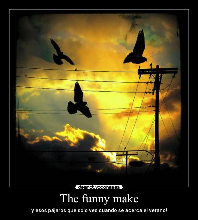 The funny make - y esos pájaros que solo ves cuando se acerca el verano!