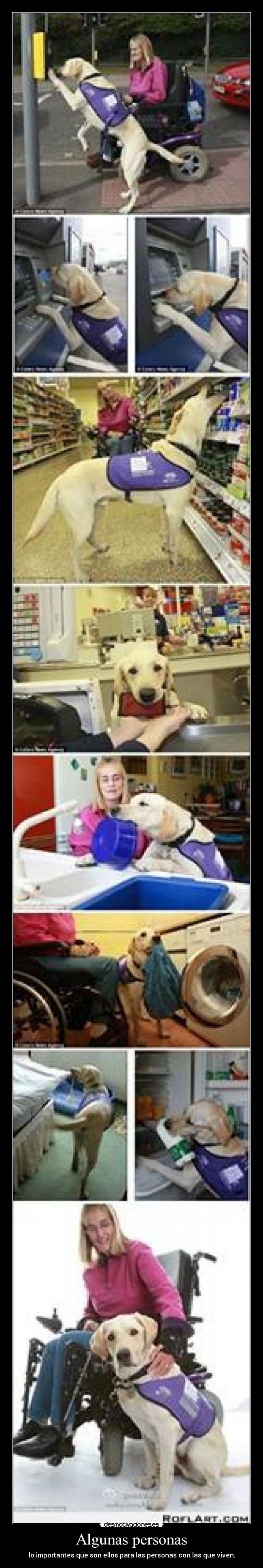 Algunas personas - lo importantes que son ellos para las personas con las que viven.