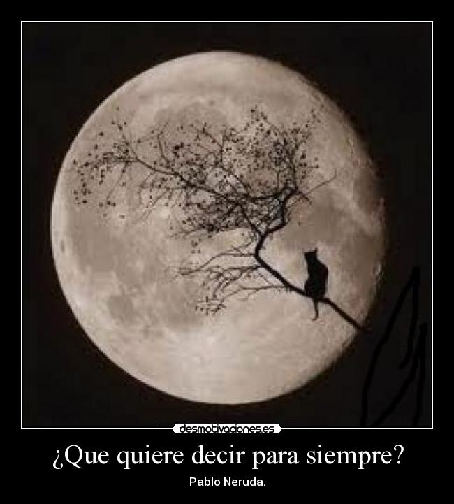 ¿Que quiere decir para siempre? - Pablo Neruda.