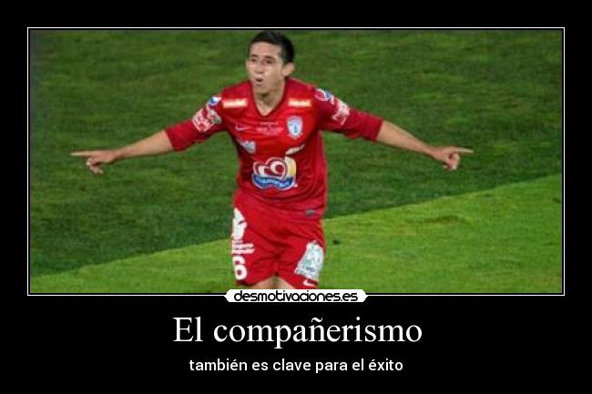 El compañerismo - también es clave para el éxito
