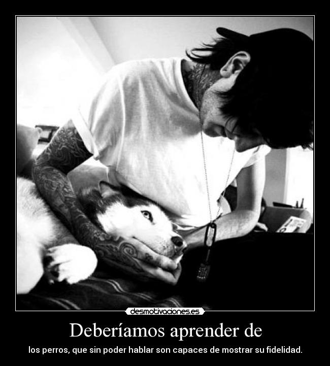 carteles desmotivaciones