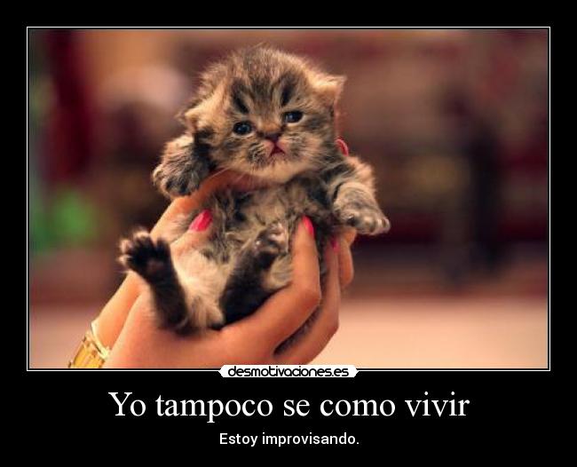 Yo tampoco se como vivir - Estoy improvisando.
