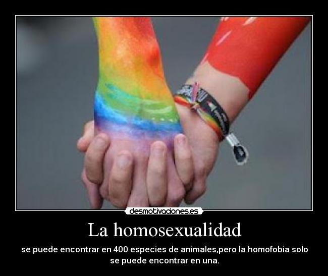 La homosexualidad - 