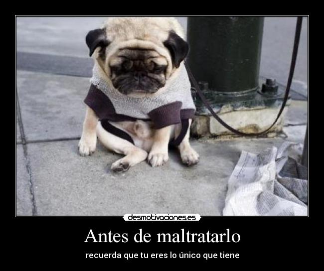 Antes de maltratarlo - recuerda que tu eres lo único que tiene