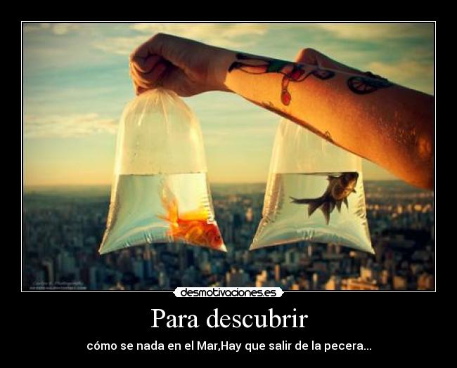 Para descubrir - cómo se nada en el Mar,Hay que salir de la pecera...