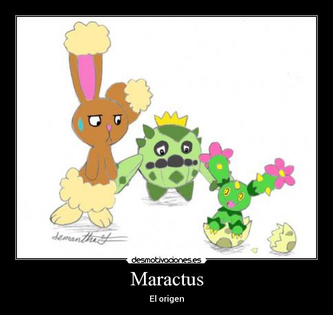 Maractus - El origen