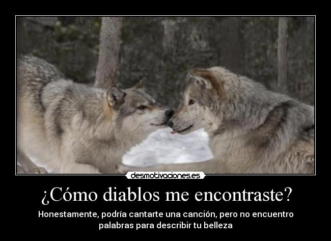 ¿Cómo diablos me encontraste? - Honestamente, podría cantarte una canción, pero no encuentro
palabras para describir tu belleza