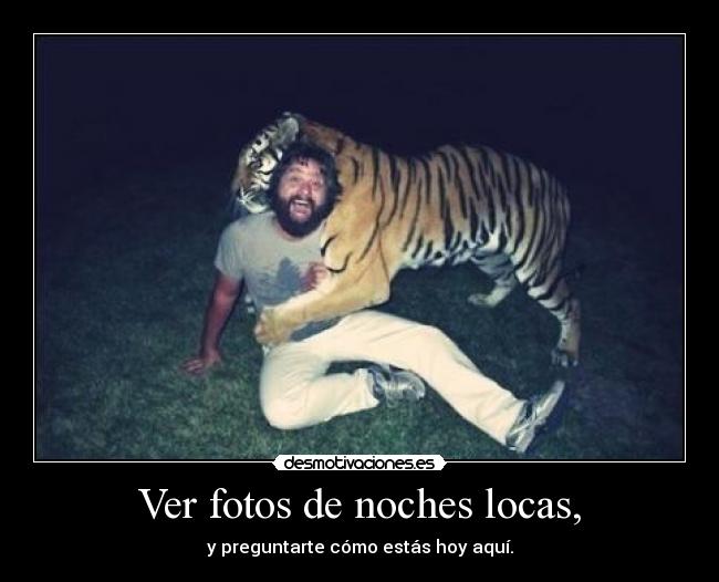 Ver fotos de noches locas, - 