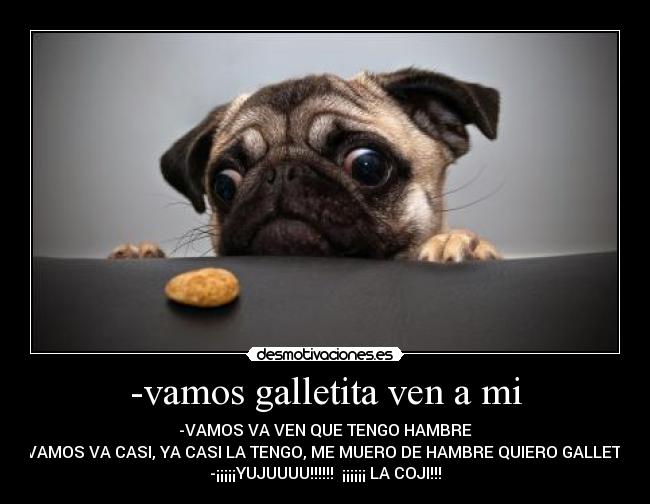 -vamos galletita ven a mi -