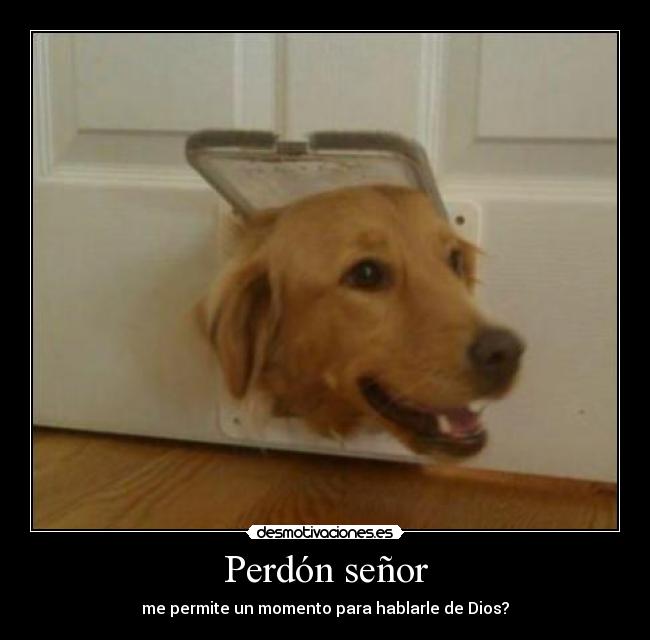 Perdón señor - 