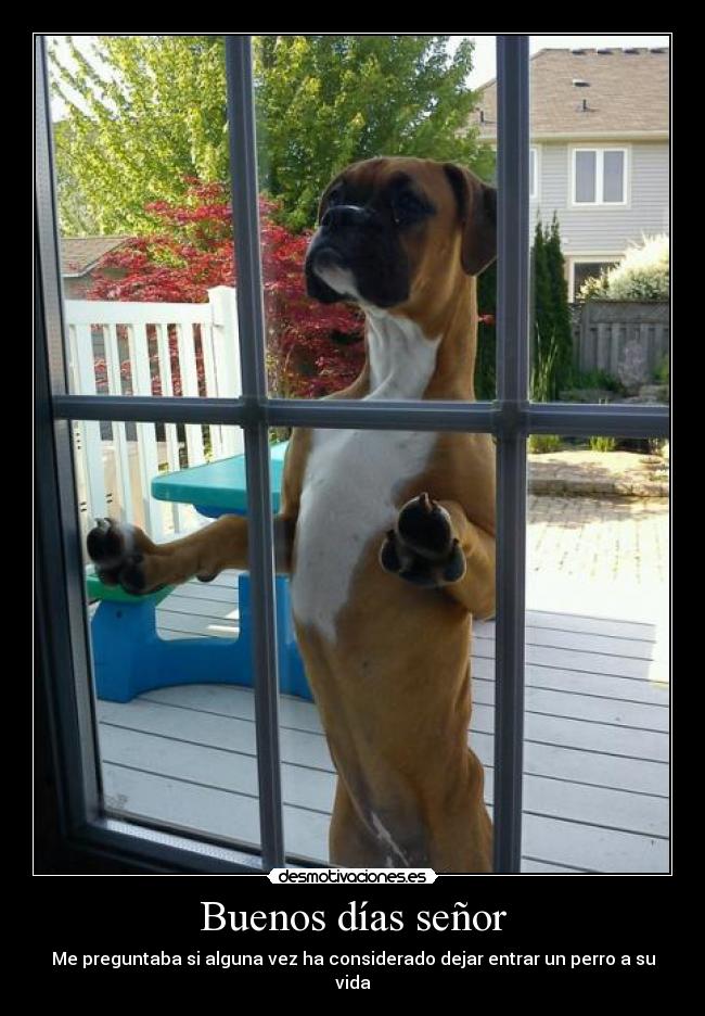 Buenos días señor -