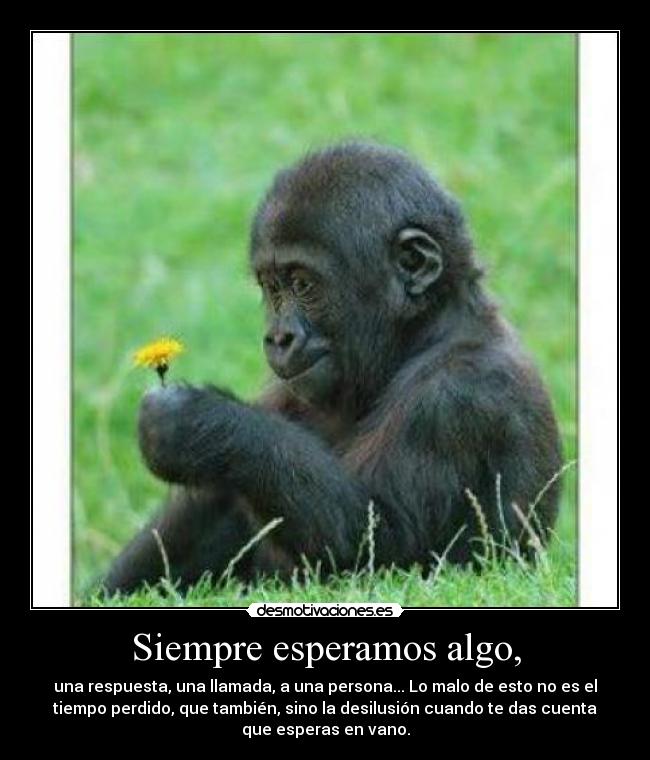 carteles harta esperar todo todos desmotivaciones