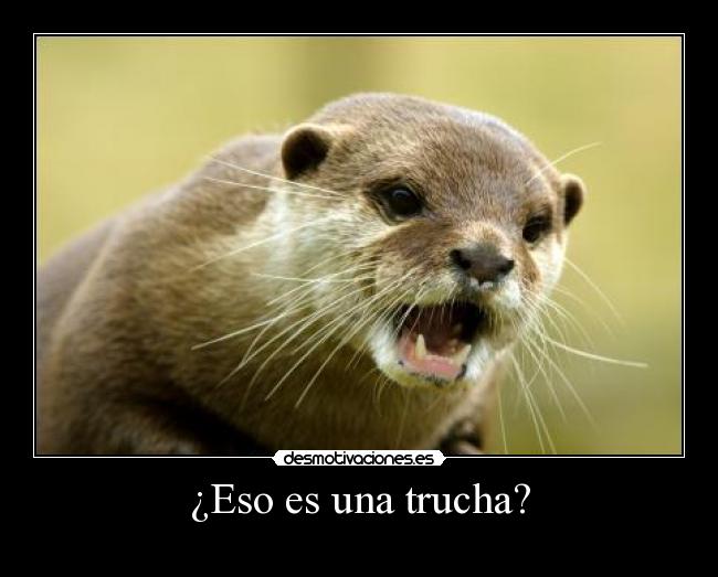 carteles ysiundiadesaparezcoquienharacartelesmalos desmotivaciones