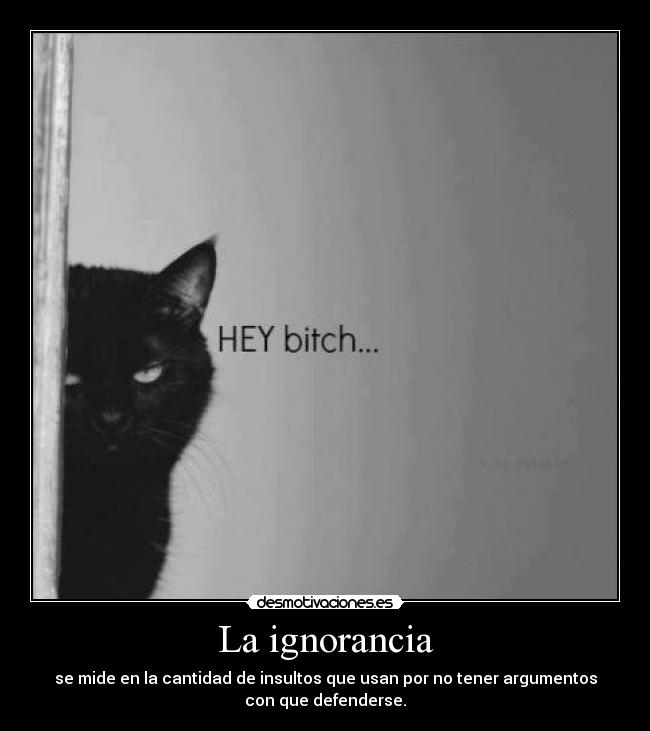 La ignorancia - se mide en la cantidad de insultos que usan por no tener argumentos
con que defenderse.