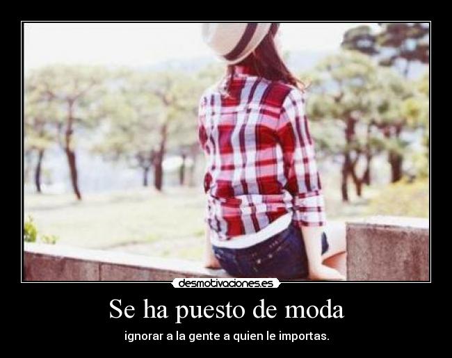 Se ha puesto de moda - 