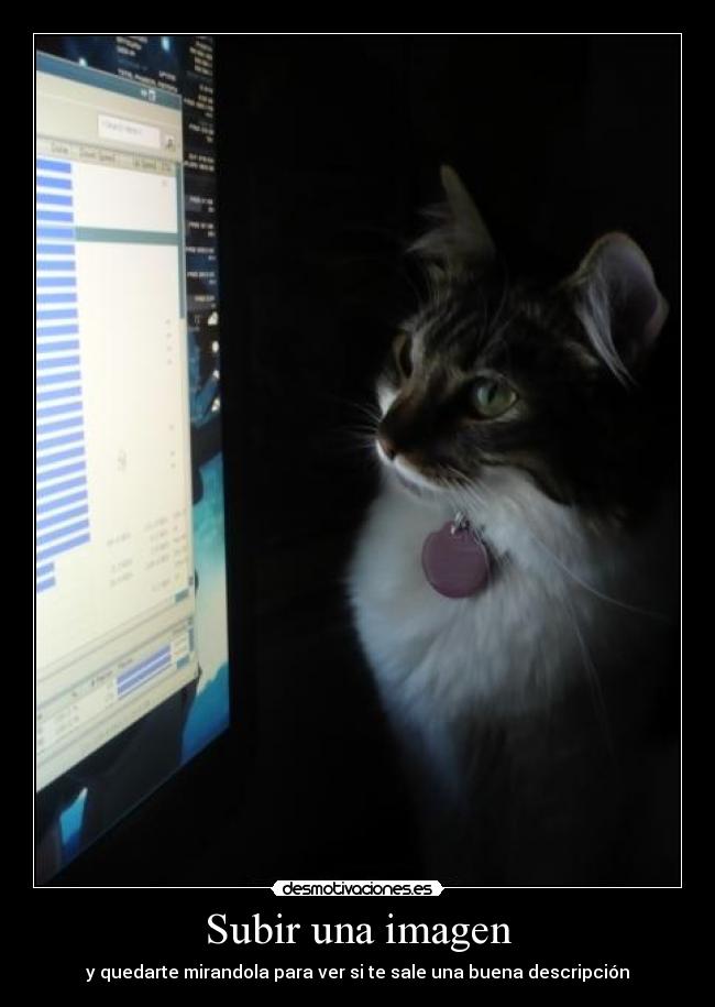 Subir una imagen - y quedarte mirandola para ver si te sale una buena descripción