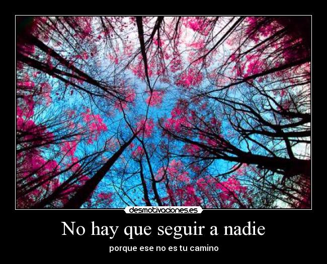 No hay que seguir a nadie - porque ese no es tu camino