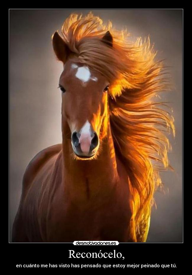 Reconócelo, - en cuánto me has visto has pensado que estoy mejor peinado que tú.