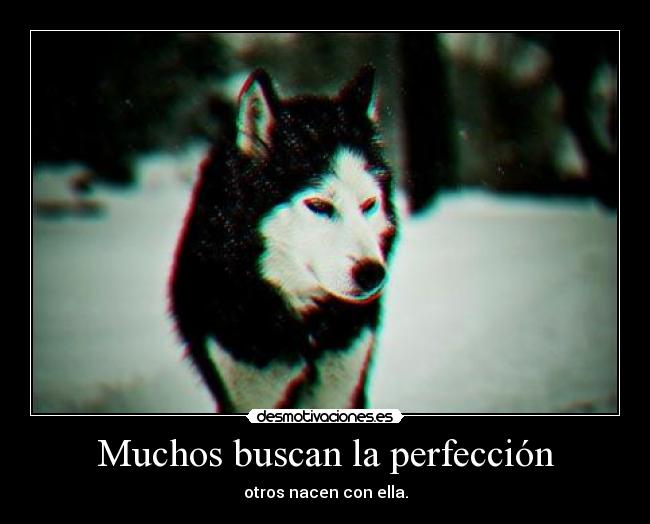 Muchos buscan la perfección - otros nacen con ella.