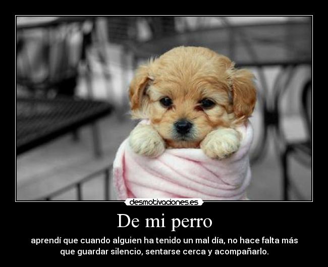 De mi perro -