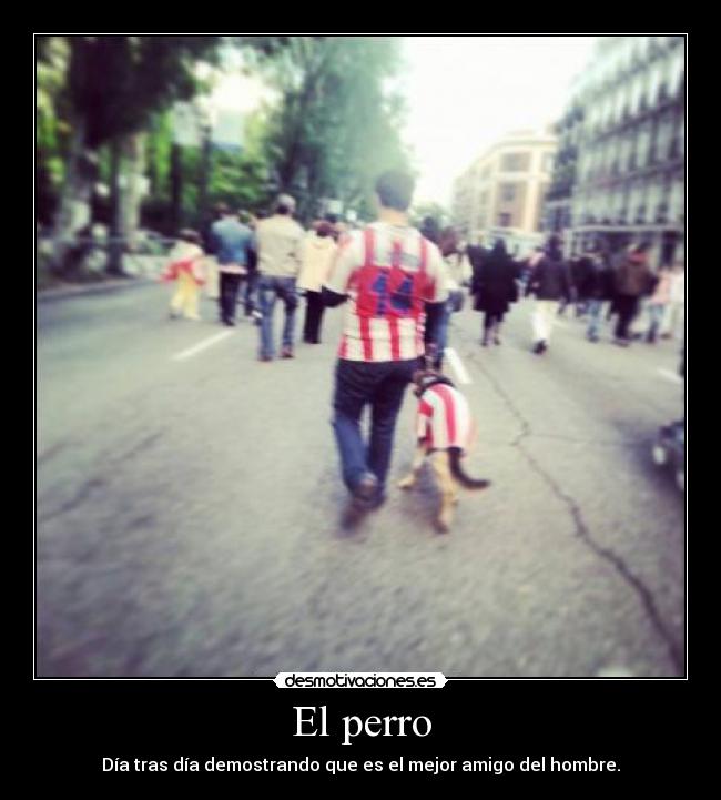 El perro - Día tras día demostrando que es el mejor amigo del hombre.