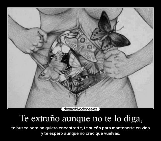 Te extraño aunque no te lo diga, - te busco pero no quiero encontrarte, te sueño para mantenerte en vida
y te espero aunque no creo que vuelvas.