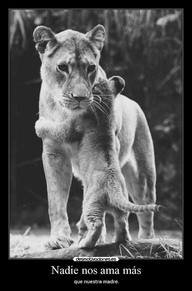 Nadie nos ama más -