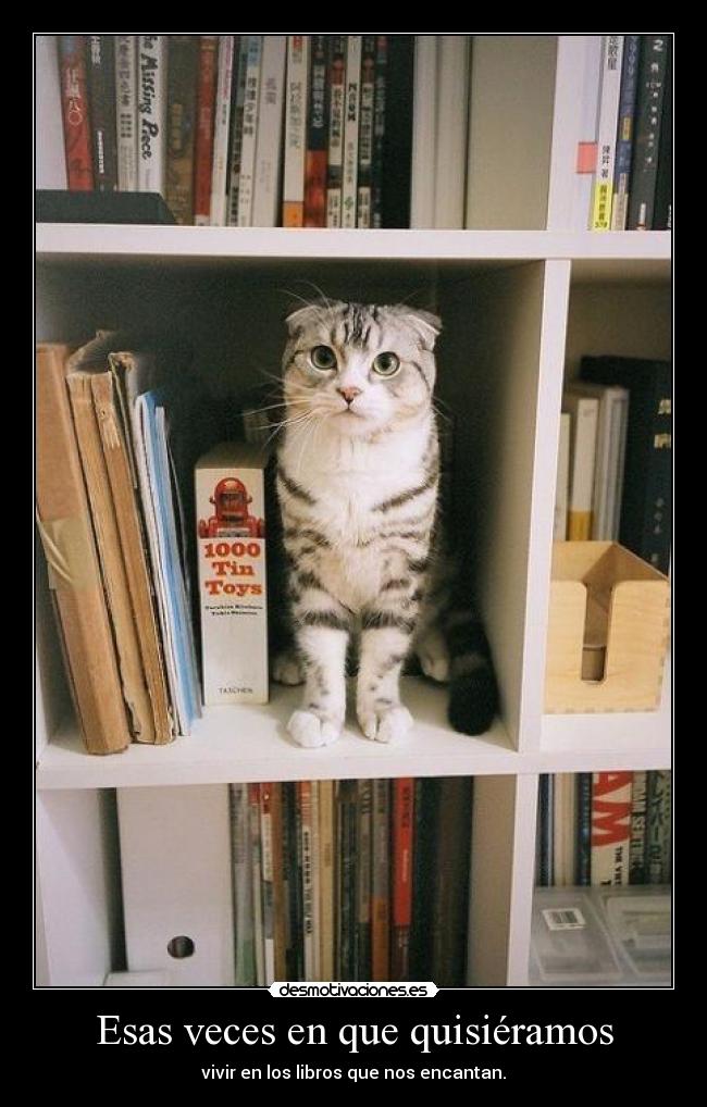 Esas veces en que quisiéramos -