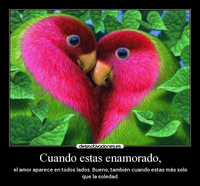 Cuando estas enamorado, - el amor aparece en todos lados. Bueno, también cuando estas más solo
que la soledad.