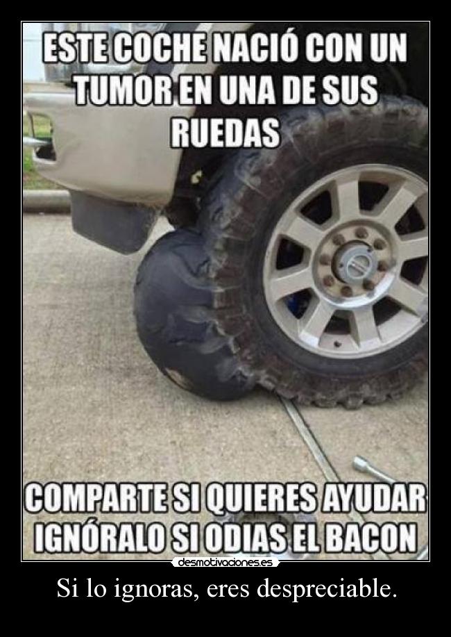 Si lo ignoras, eres despreciable. - 