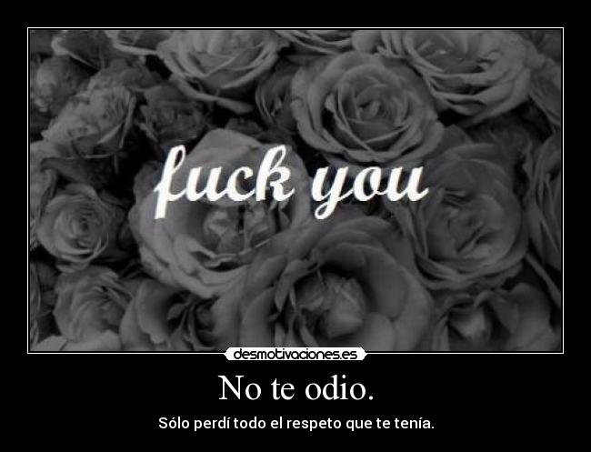 No te odio. - Sólo perdí todo el respeto que te tenía.