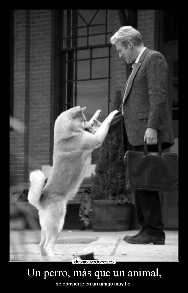 Un perro, más que un animal, -