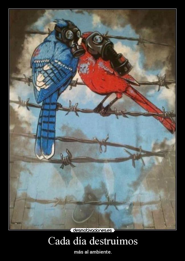 Cada día destruimos -