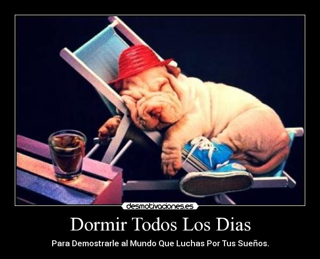 Dormir Todos Los Dias - Para Demostrarle al Mundo Que Luchas Por Tus Sueños.