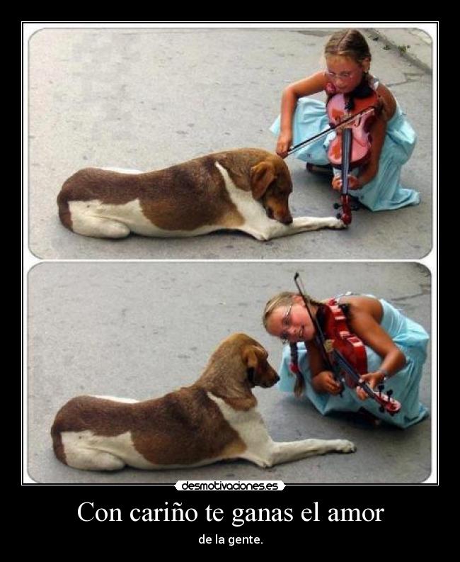 Con cariño te ganas el amor -