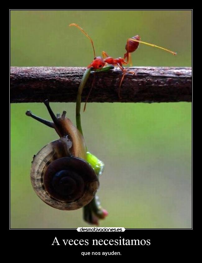 A veces necesitamos -