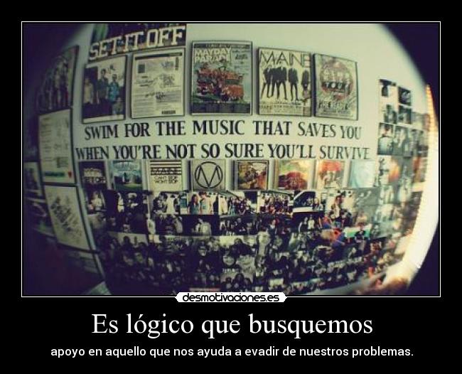 Es lógico que busquemos -