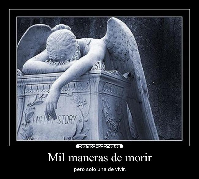 carteles vida muerte desmotivaciones