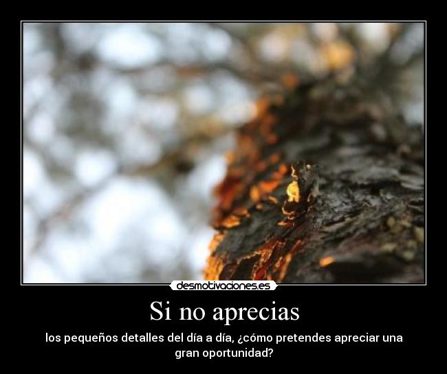Si no aprecias -