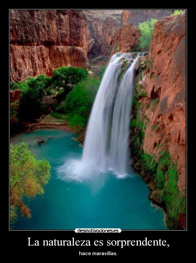 La naturaleza es sorprendente, - hace maravillas.