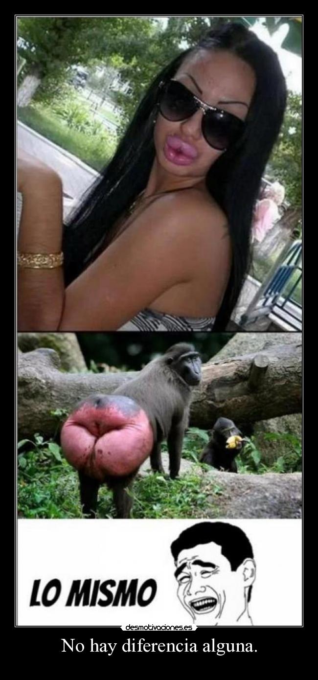 No hay diferencia alguna. -