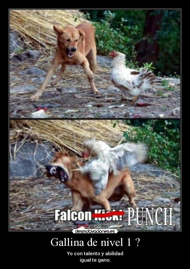 Gallina de nivel 1 ? -
