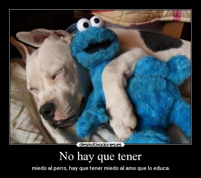 No hay que tener - miedo al perro, hay que tener miedo al amo que lo educa.