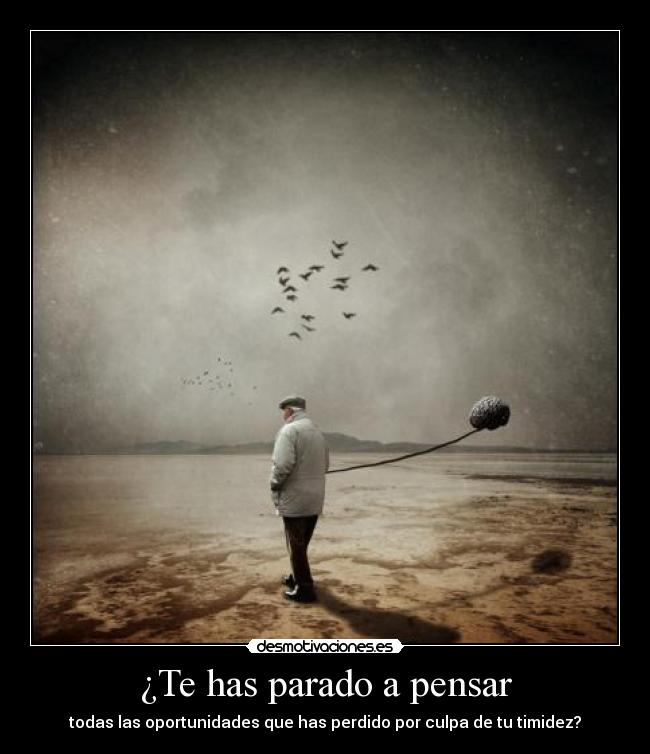 ¿Te has parado a pensar - todas las oportunidades que has perdido por culpa de tu timidez?