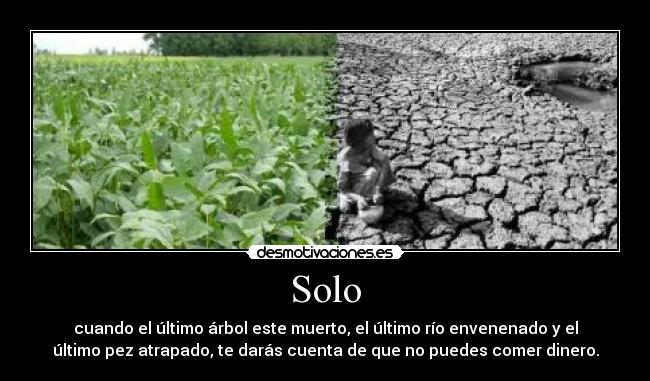 Solo - cuando el último árbol este muerto, el último río envenenado y el
último pez atrapado, te darás cuenta de que no puedes comer dinero.