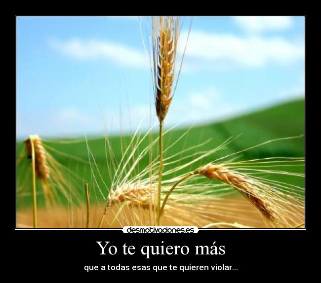 Yo te quiero más - que a todas esas que te quieren violar...