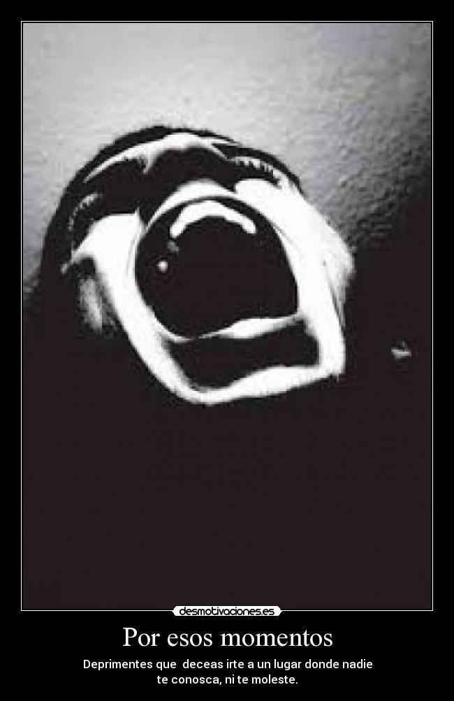 carteles am000000000r desmotivaciones